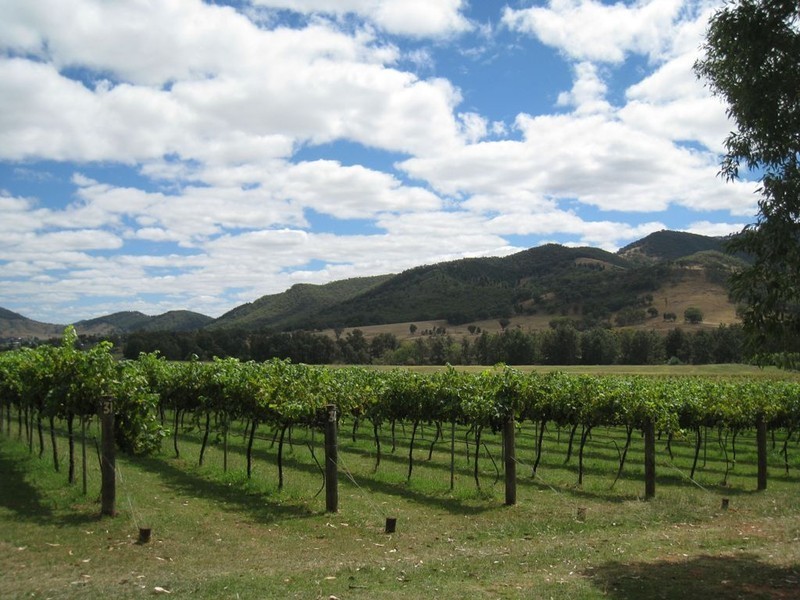 Mudgee NSW 2850