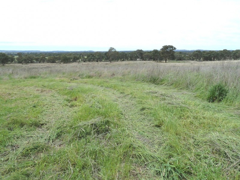 Gulgong NSW 2852