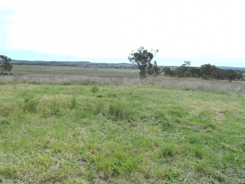 Gulgong NSW 2852