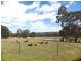 Mudgee NSW 2850