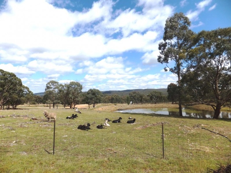 Mudgee NSW 2850