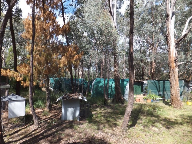 Mudgee NSW 2850