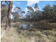 Mudgee NSW 2850