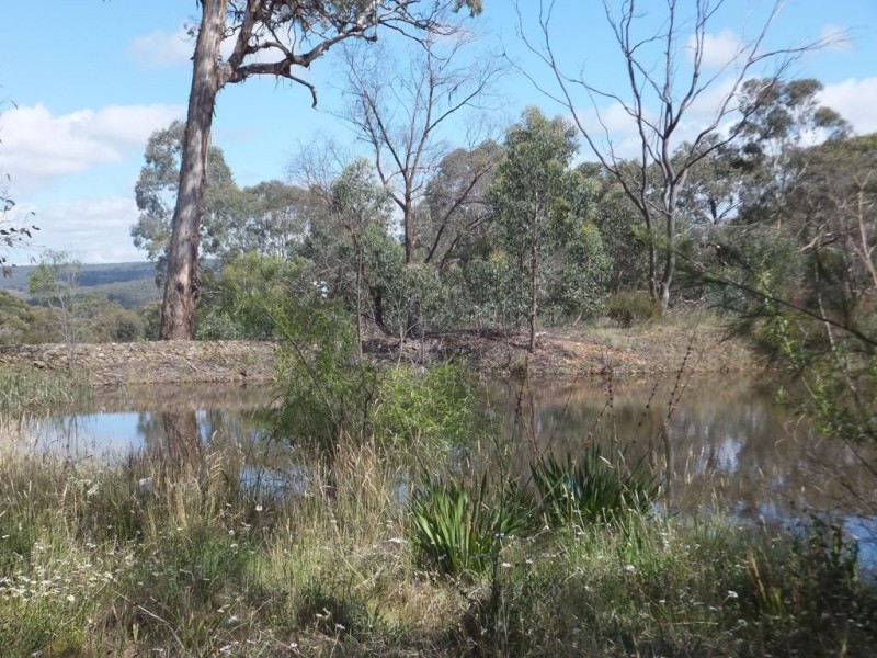 Mudgee NSW 2850