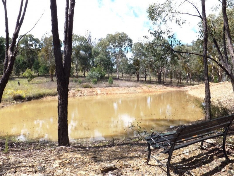 Mudgee NSW 2850