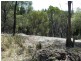 Mudgee NSW 2850