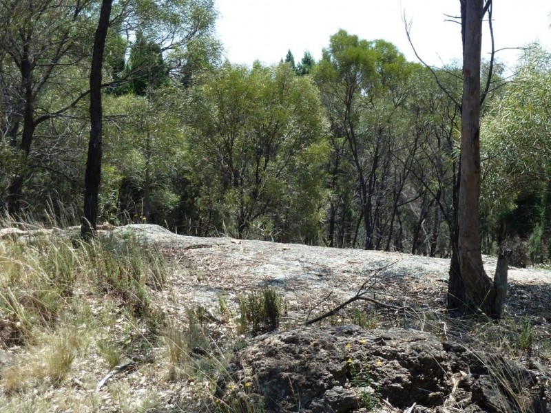 Mudgee NSW 2850