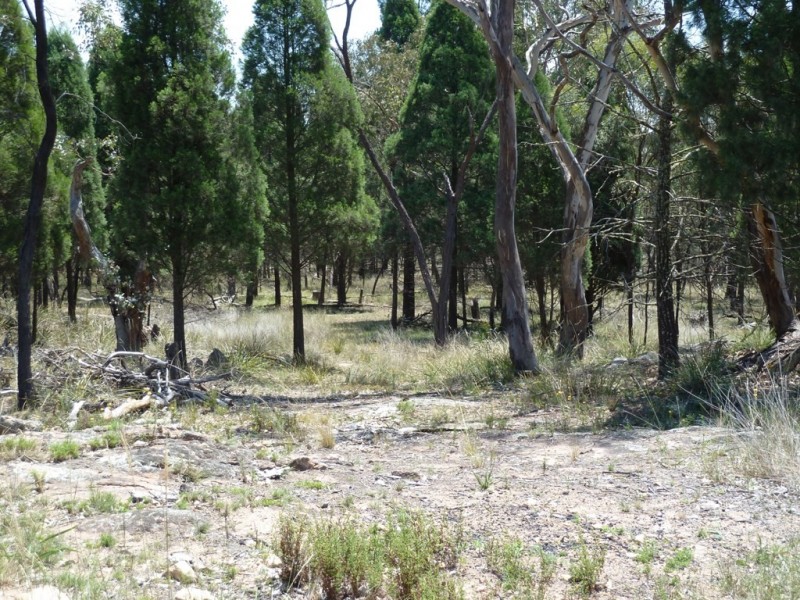 Mudgee NSW 2850