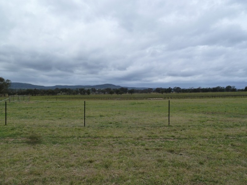 Mudgee NSW 2850