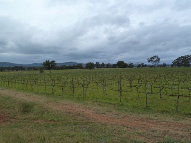 Mudgee NSW 2850