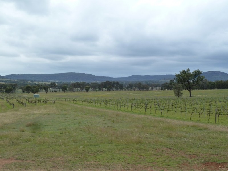 Mudgee NSW 2850