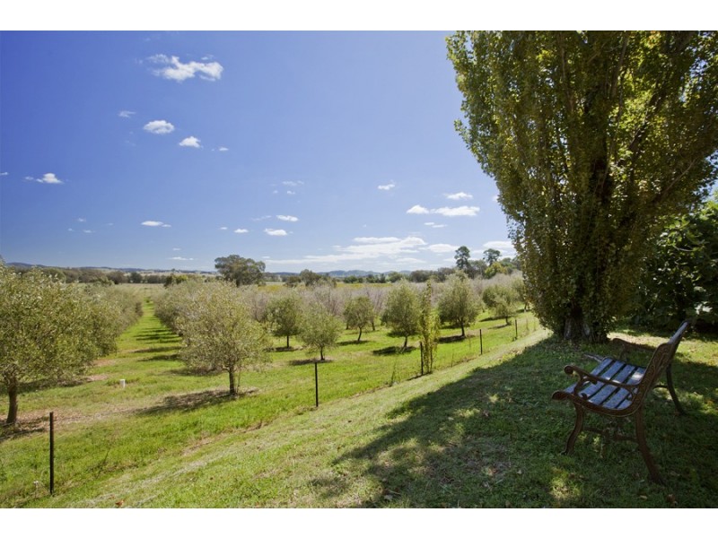 Mudgee NSW 2850