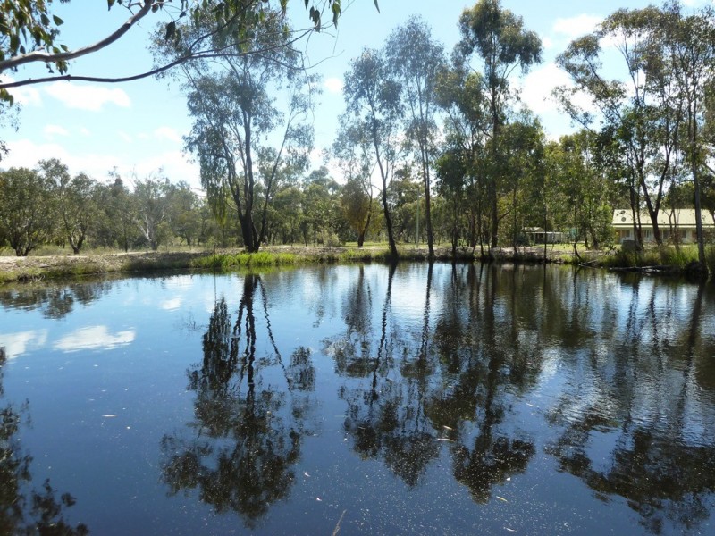 Mudgee NSW 2850