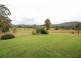 Budgee Budgee NSW 2850