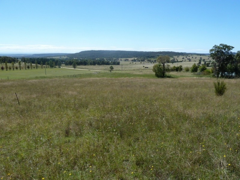 Mudgee NSW 2850