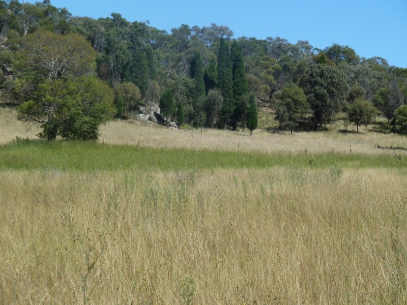 Mudgee NSW 2850