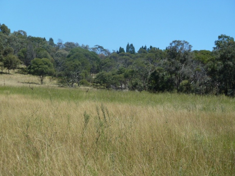 Mudgee NSW 2850