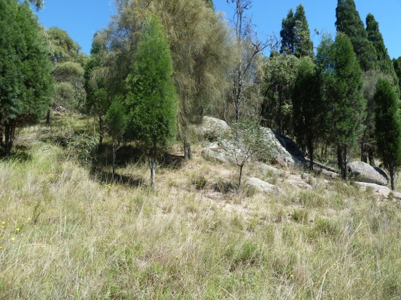 Mudgee NSW 2850