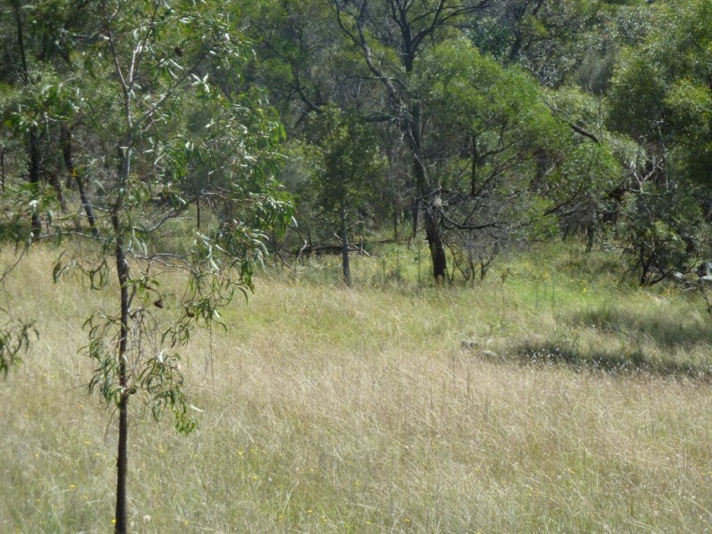 Mudgee NSW 2850