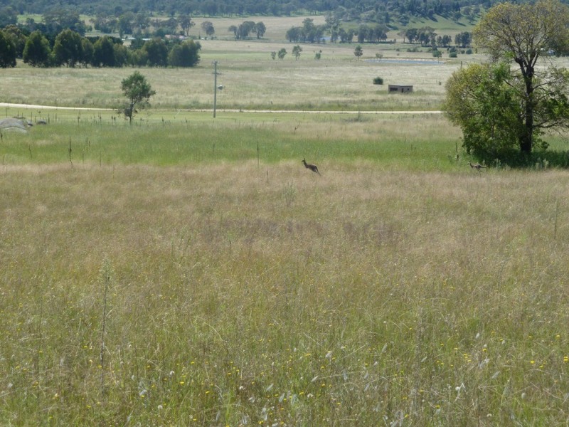 Mudgee NSW 2850