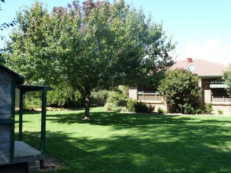 Mudgee NSW 2850