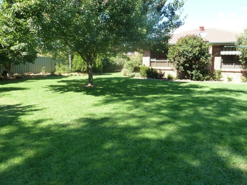Mudgee NSW 2850