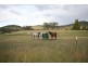 Windeyer NSW 2850