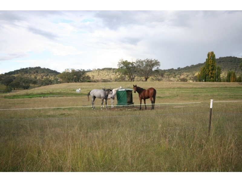 Windeyer NSW 2850