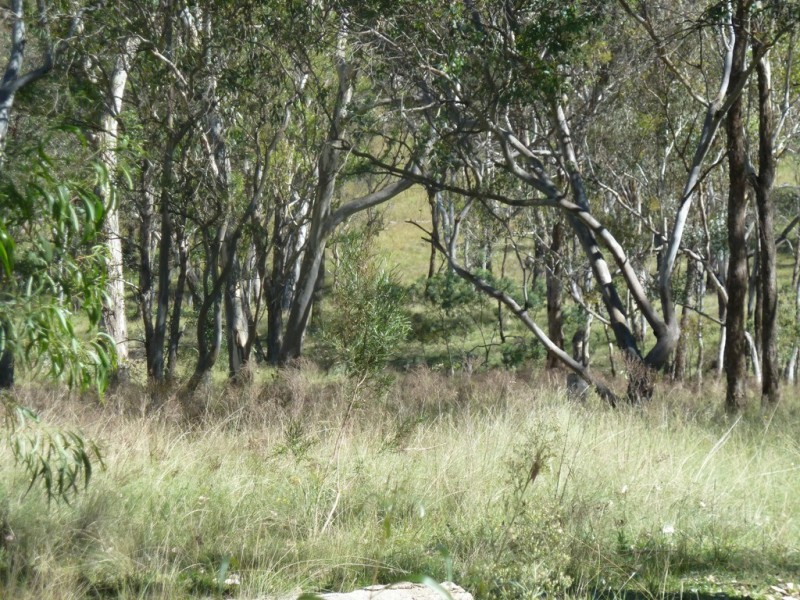 Mudgee NSW 2850