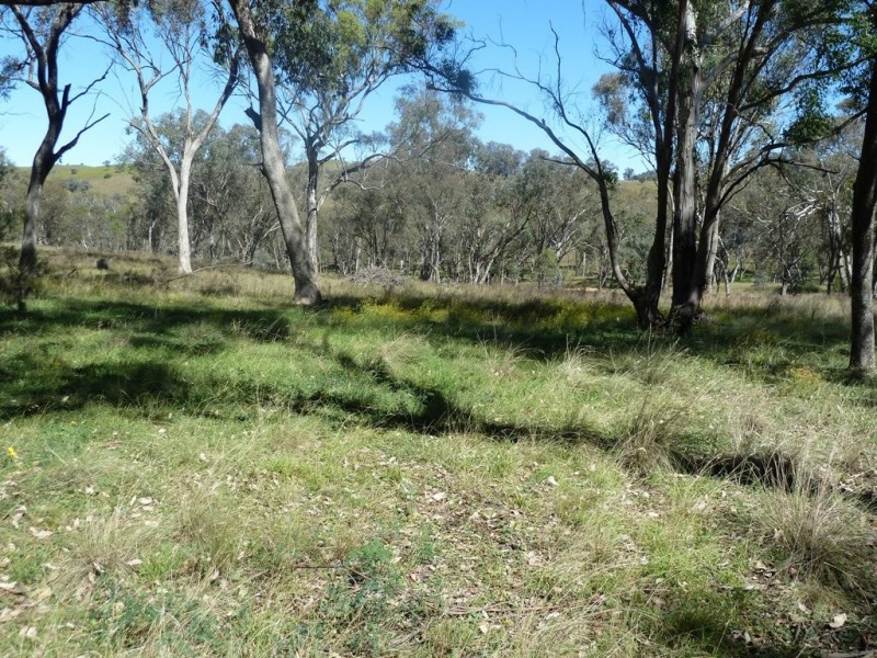 Mudgee NSW 2850