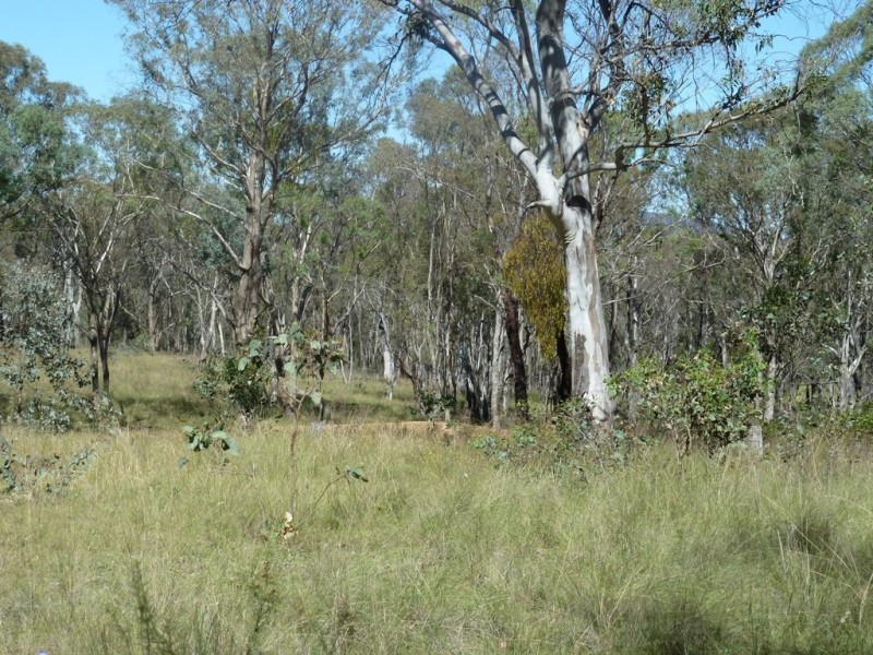 Mudgee NSW 2850