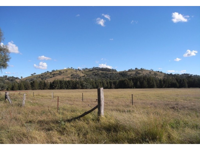 Gulgong NSW 2852