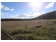Gulgong NSW 2852