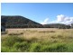 Gulgong NSW 2852