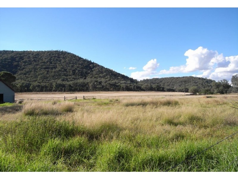 Gulgong NSW 2852