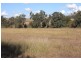 Gulgong NSW 2852