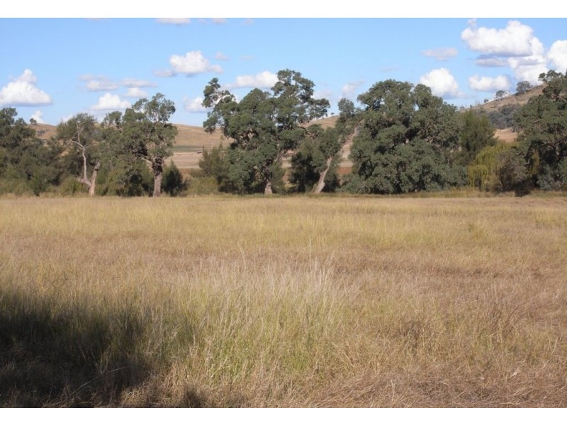 Gulgong NSW 2852