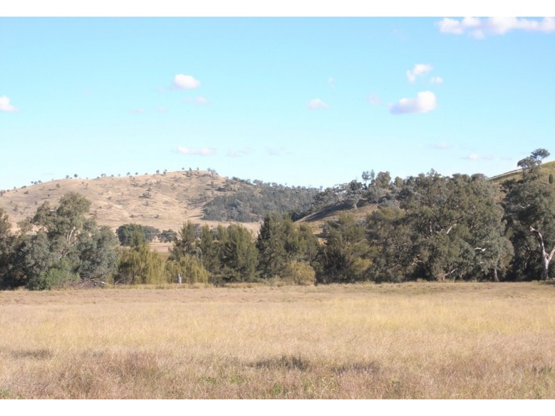Gulgong NSW 2852