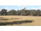Gulgong NSW 2852