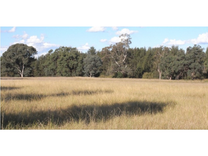 Gulgong NSW 2852