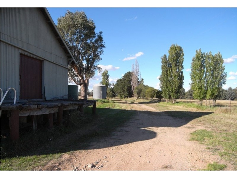 Gulgong NSW 2852