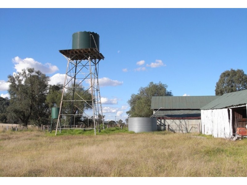 Gulgong NSW 2852