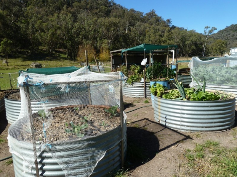 Mudgee NSW 2850