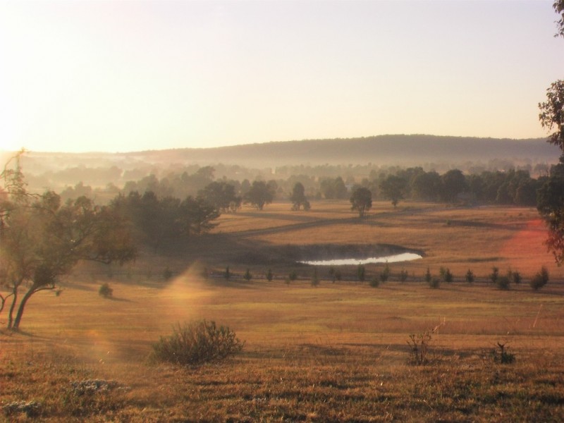 Mudgee NSW 2850