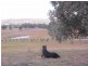 Mudgee NSW 2850