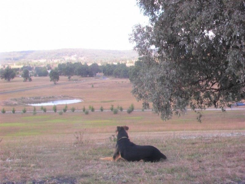 Mudgee NSW 2850