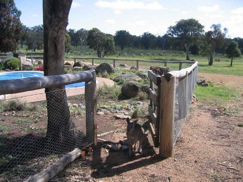 Mudgee NSW 2850