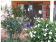 Mudgee NSW 2850