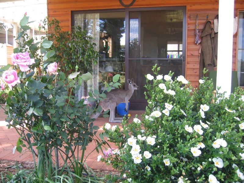 Mudgee NSW 2850