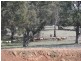Botobolar NSW 2850